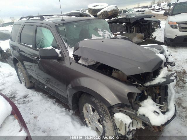 Auction sale of the 2012 Ford Escape, vin: 1FMCU0DG4CKA45617, lot number: 11658849