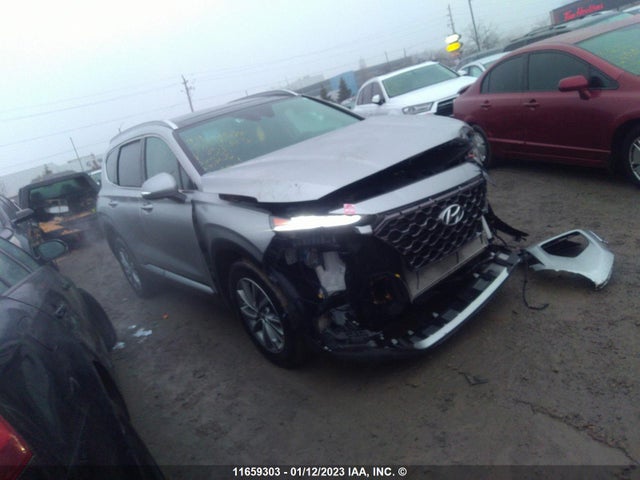 Hyundai Santa Fe 2020 5NMS3CAD4LH258383 Image 1