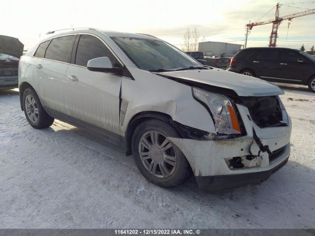 Auction sale of the 2010 Cadillac Srx Premium Collection, vin: 3GYFNFEY1AS596656, lot number: 11641202