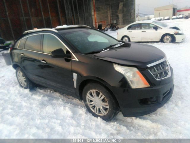 Auction sale of the 2010 Cadillac Srx Luxury Collection, vin: 3GYFNDEY0AS659184, lot number: 11651938