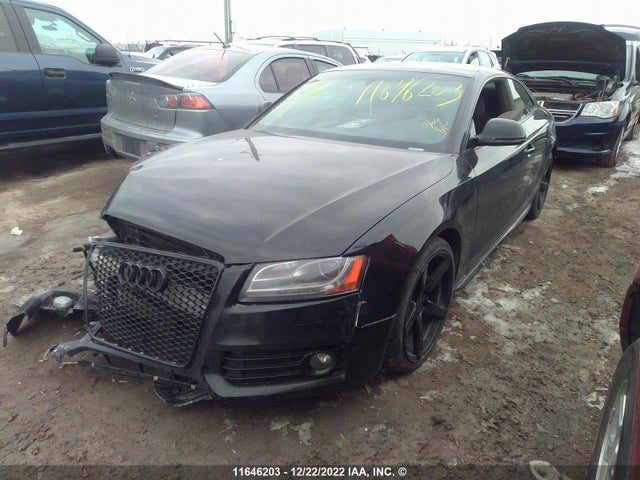 WAURV68T68A010366 Audi S5 QUATTRO