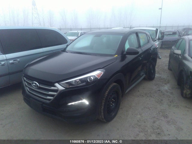 Hyundai Tucson 2017 KM8J23A42HU397325 Image 2