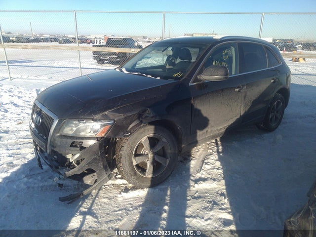 WA1LKCFP1CA078051 Audi Q5 Premium Plus