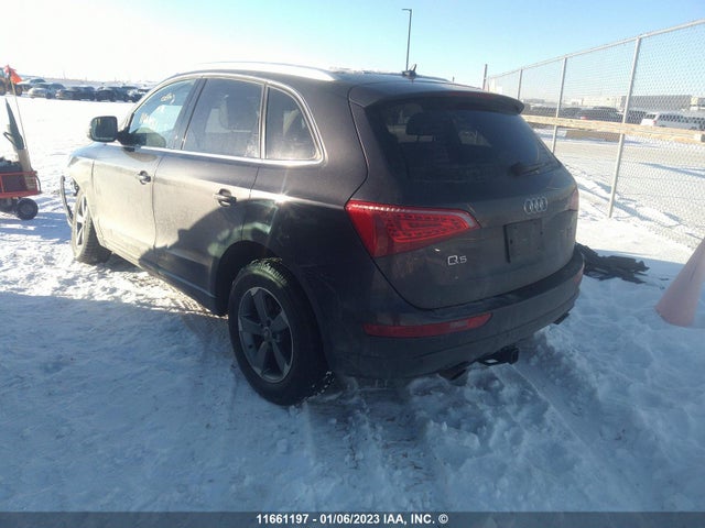 WA1LKCFP1CA078051 Audi Q5 Premium Plus