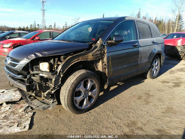 Honda CR-V EX 2010 5J6RE4H51AL812921 Image 2