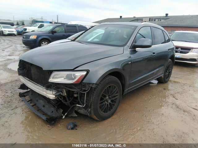 WA1DGCFP4DA067553 Audi Q5 Premium Plus