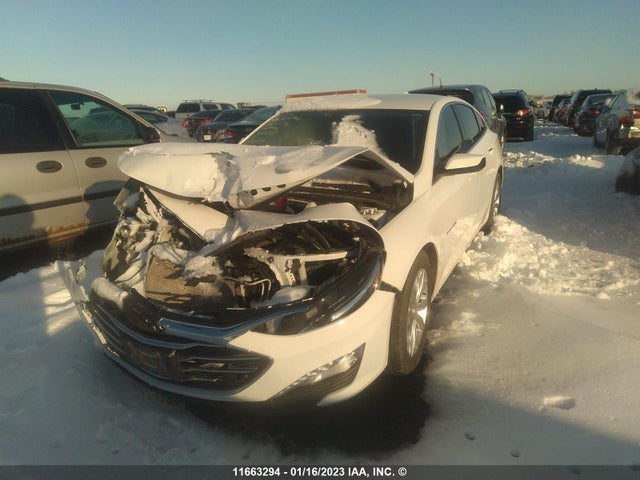 Chevrolet MALIBU LT 2019 1G1ZD5ST2KF121881 Image 2