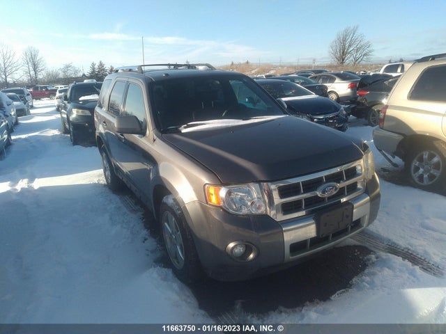 2011 1FMCU9EG7BKC66212 главное изображение