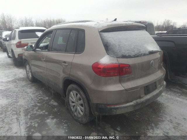 WVGJV7AX4GW068976 Volkswagen Tiguan Comfort/high/r-line/sp Ed