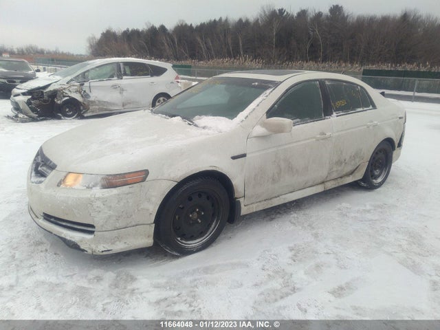 19UUA66205A801282 Acura TL