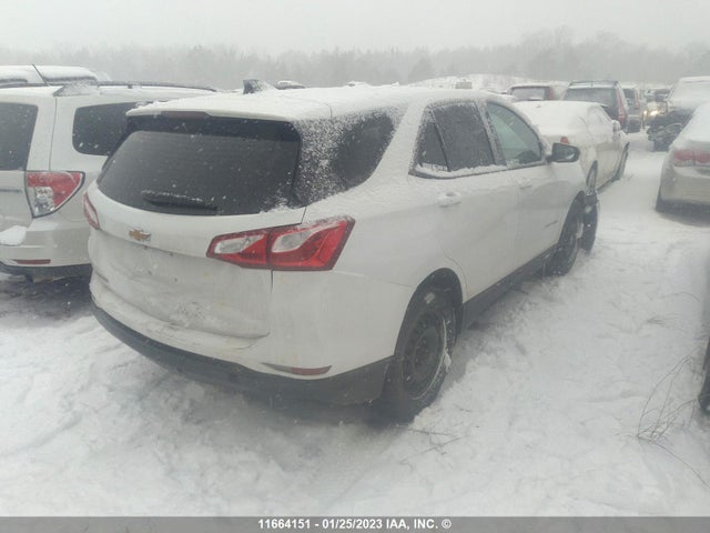 Chevrolet EQUINOX LS 2019 2GNAXHEV4K6117990 Image 4