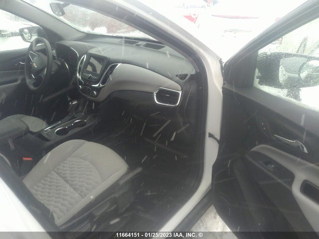 Chevrolet EQUINOX LS 2019 2GNAXHEV4K6117990 Image 5