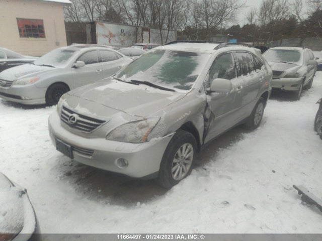 JTJHW31U660021400 Lexus RX 400
