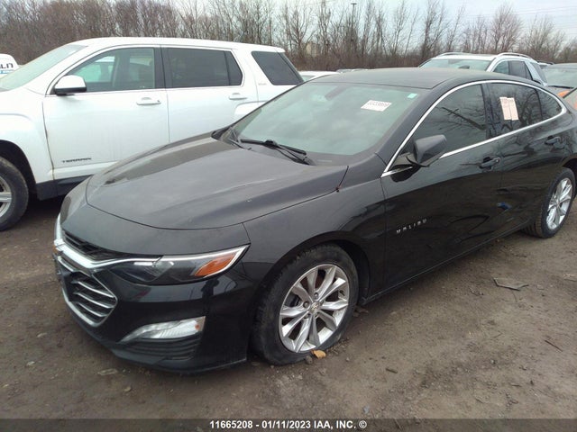 Chevrolet MALIBU LT 2019 1G1ZD5ST9KF196335 Image 2