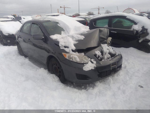 Toyota COROLLA 2010 2T1BU4EE7AC242039 zdjęcie główne