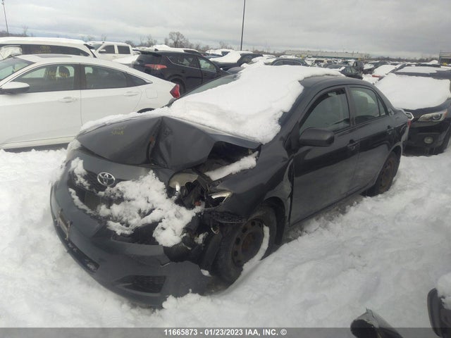 Toyota COROLLA 2010 2T1BU4EE7AC242039 Image 2