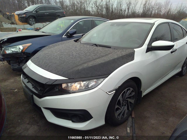 11665980 :رقم المزاد ، 2HGFC2F88HH031550 vin ، 2017 Honda Civic Ex مزاد بيع