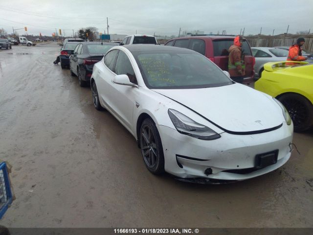 Продажа на аукционе авто 2020 Tesla Model 3, vin: 5YJ3E1EC5LF626883, номер лота: 11666193