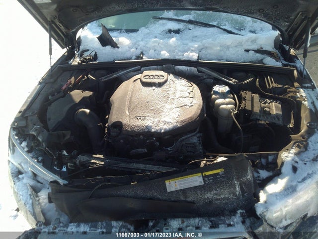 WAUANAF48HN006677 Audi A4 PREMIUM