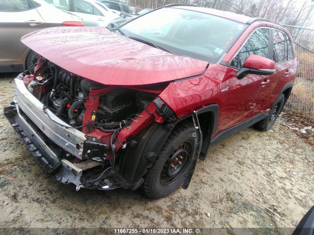 Toyota RAV4 LE 2019 2T3BWRFV1KW018553 Image 2