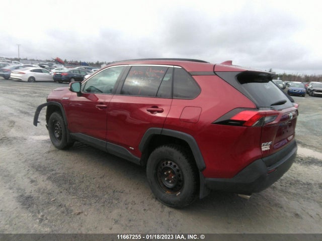Toyota RAV4 LE 2019 2T3BWRFV1KW018553 Image 5