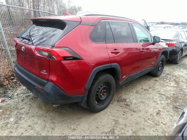 Toyota RAV4 LE 2019 2T3BWRFV1KW018553 Image 6
