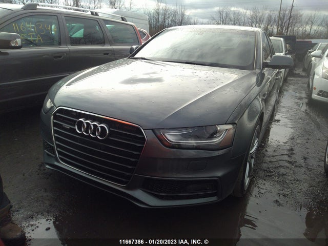 WAUFFCFL1FN025428 Audi A4 Premium Plus