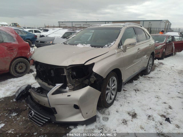 2T2BK1BA7FC304435 Lexus Rx 350/base/f Sport