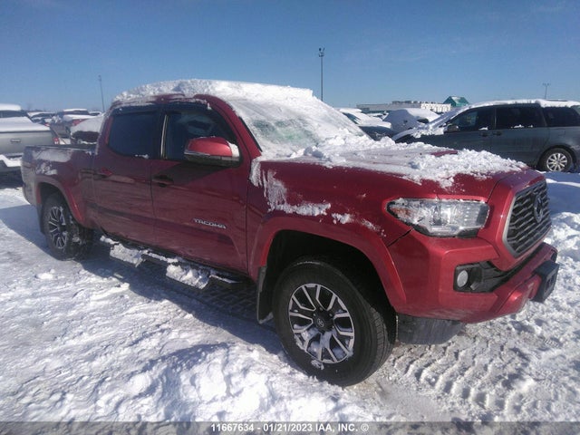 Toyota Tacoma Double Cab/sr5/trd Sport/ 2021 5TFDZ5BN9MX065455 zdjęcie główne