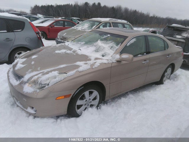 JTHBA30G365168889 Lexus ES 330