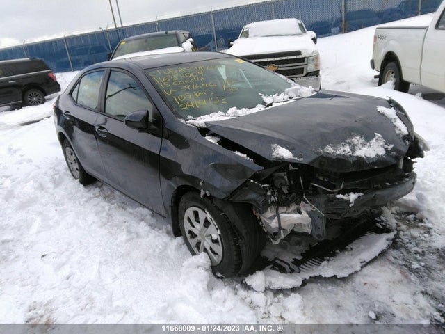 Toyota Corolla L/le/le Pls/prm/s/s Pls 2015 2T1BURHE9FC391696 главное изображение