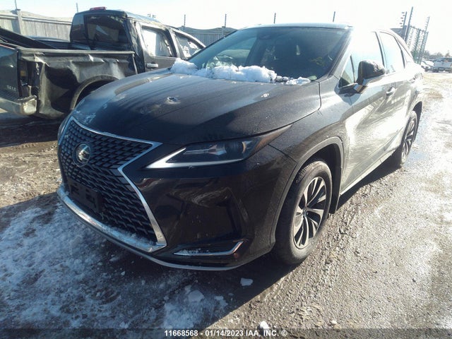 2T2HZMDAXLC252699 Lexus RX 350