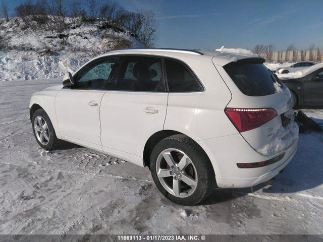 WA1LKCFP1CA053294 Audi Q5 Premium Plus