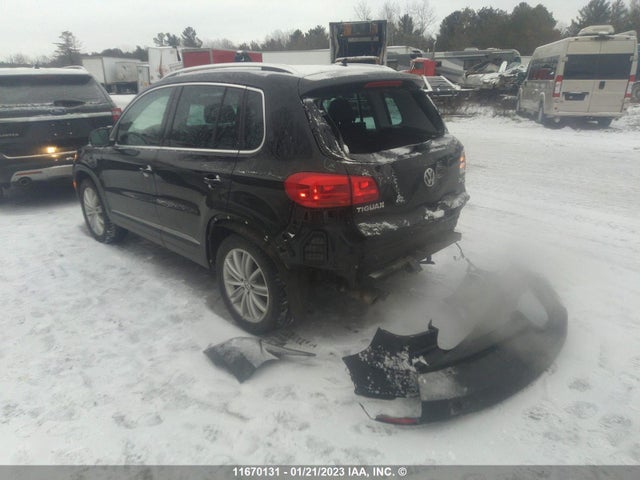 WVGJV7AXXGW559486 Volkswagen Tiguan Comfort/high/r-line/sp Ed