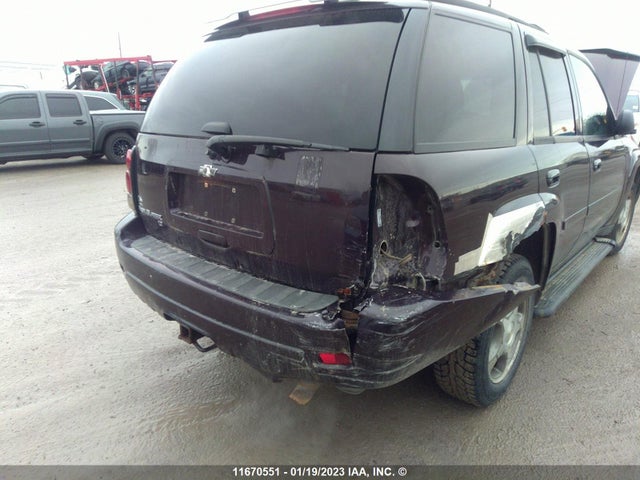 Chevrolet Trailblazer Lt 2009 1GNDT33S792111323 Image 4