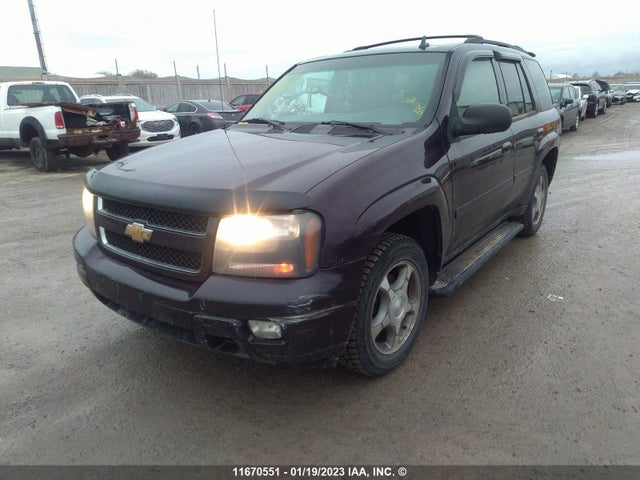 Chevrolet Trailblazer Lt 2009 1GNDT33S792111323 Image 2