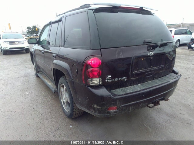 Chevrolet Trailblazer Lt 2009 1GNDT33S792111323 Image 5
