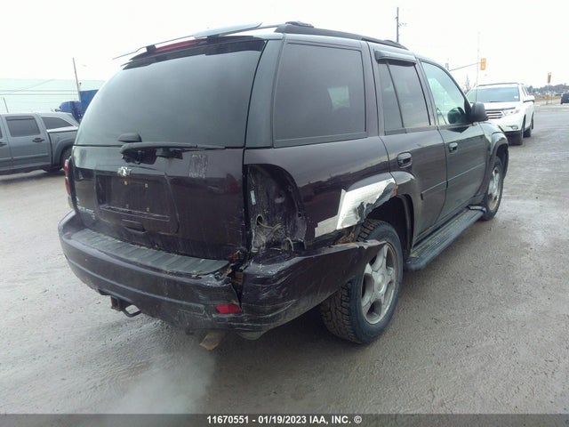 Chevrolet Trailblazer Lt 2009 1GNDT33S792111323 Image 6