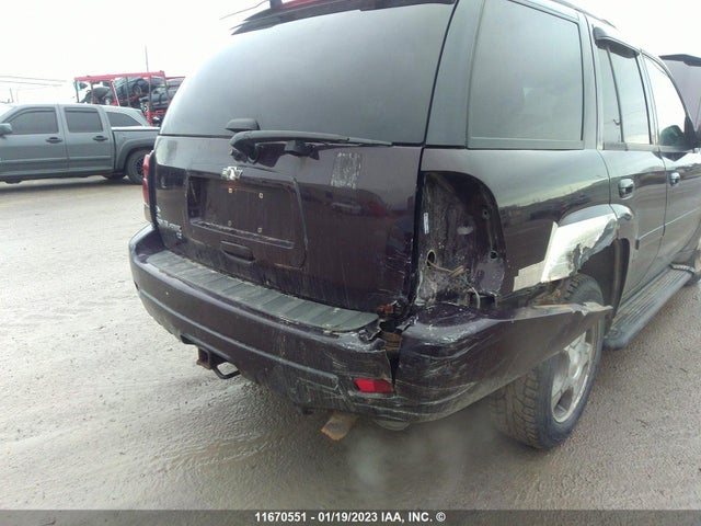 Chevrolet Trailblazer Lt 2009 1GNDT33S792111323 Image 8