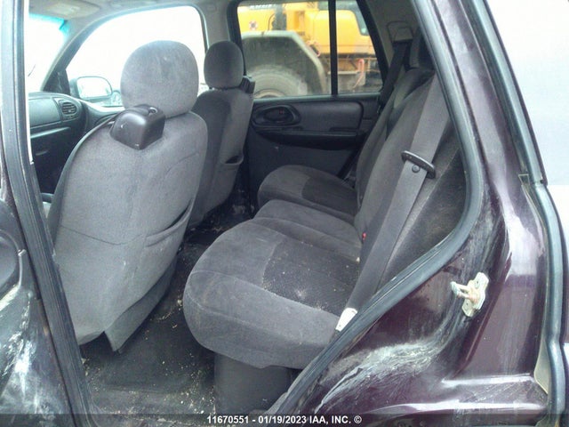 Chevrolet Trailblazer Lt 2009 1GNDT33S792111323 Image 10
