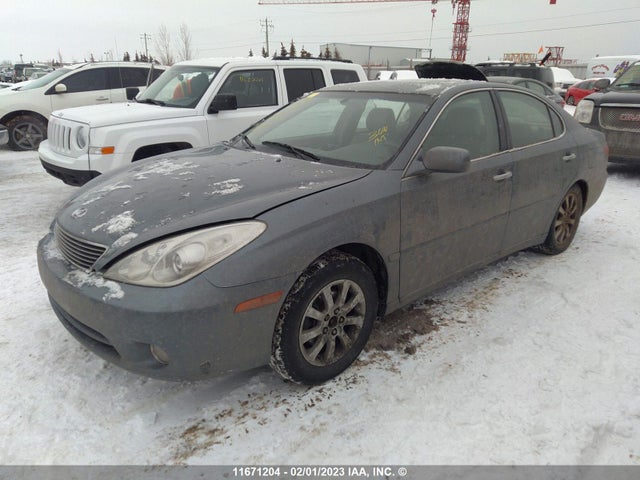 JTHBA30G165172505 Lexus ES 330