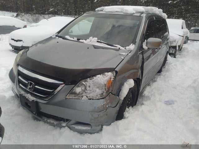 Продаж на аукціоні авто 2007 Honda Odyssey Exl, vin: 5FNRL38607B018549, номер лоту: 11671266