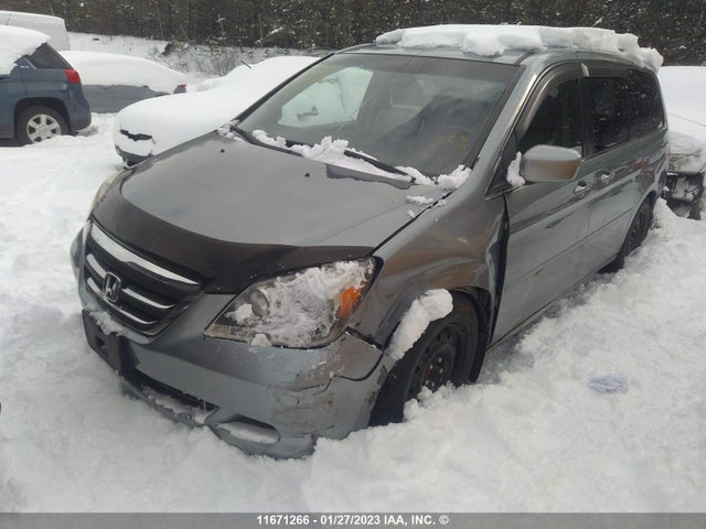 Продаж на аукціоні авто 2007 Honda Odyssey Exl, vin: 5FNRL38607B018549, номер лоту: 11671266