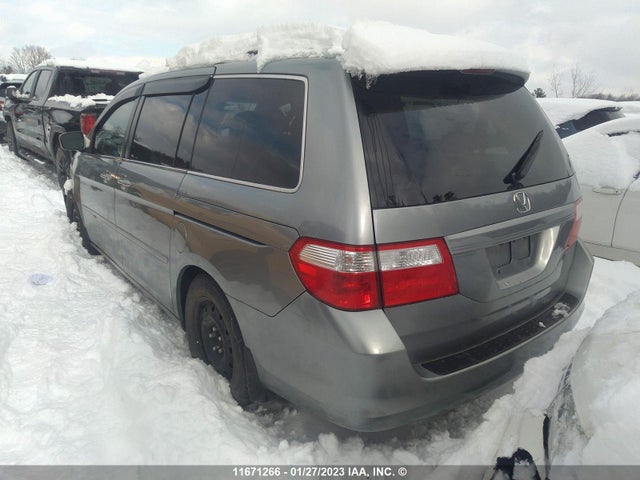 Продаж на аукціоні авто 2007 Honda Odyssey Exl, vin: 5FNRL38607B018549, номер лоту: 11671266