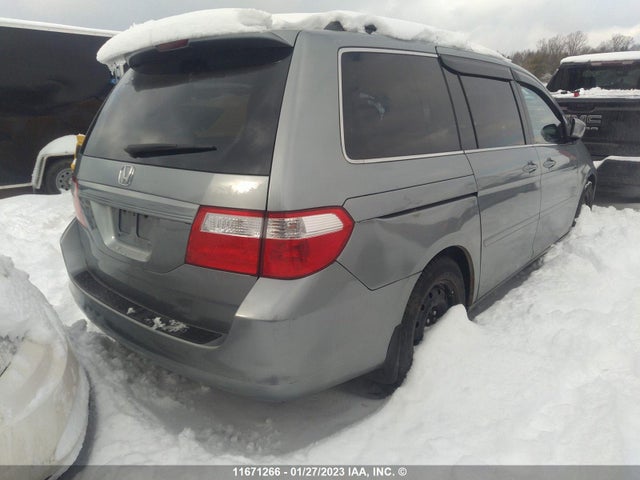 Продаж на аукціоні авто 2007 Honda Odyssey Exl, vin: 5FNRL38607B018549, номер лоту: 11671266