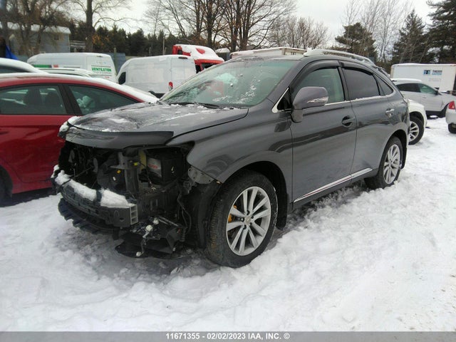 2T2BK1BA4FC338686 Lexus Rx 350/base/f Sport