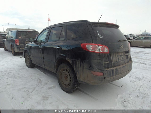 Hyundai Santa Fe Se 2010 5NMSHDAGXAH348166 Image 3