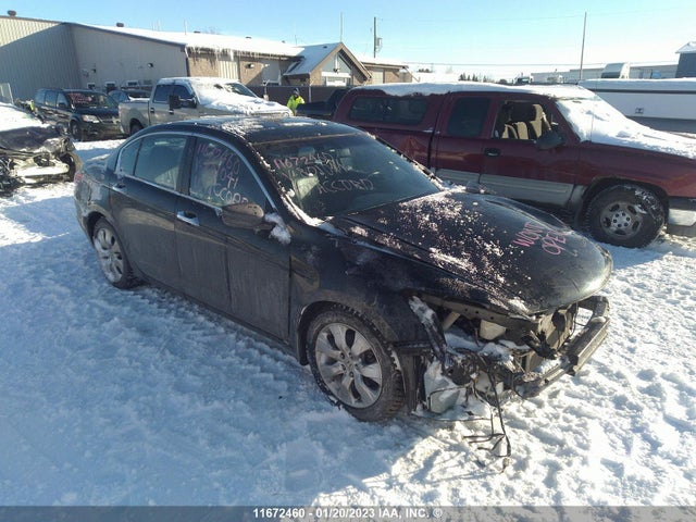 Honda ACCORD EXL 2010 1HGCP3F81AA801041 main image