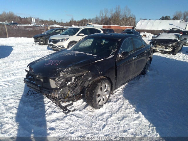 Honda ACCORD EXL 2010 1HGCP3F81AA801041 Image 2