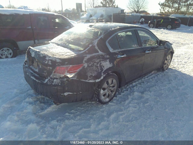 Honda ACCORD EXL 2010 1HGCP3F81AA801041 Image 6